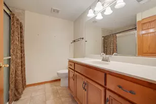 18650 Pine Lake Dr, Tinley Park, IL 60477 - Photo 23
