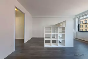 850 N Dewitt Pl, Chicago, IL 60611 - Photo 11