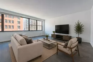 850 N Dewitt Pl, Chicago, IL 60611 - Photo 3