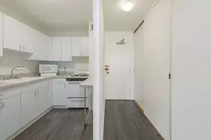 850 N Dewitt Pl, Chicago, IL 60611 - Photo 17