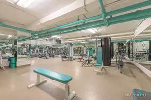 850 N Dewitt Pl, Chicago, IL 60611 - Photo 35