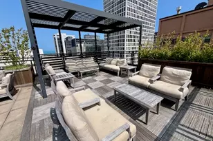 850 N Dewitt Pl, Chicago, IL 60611 - Photo 31