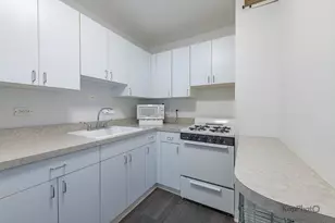 850 N Dewitt Pl, Chicago, IL 60611 - Photo 15