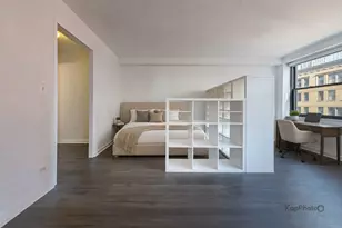 850 N Dewitt Pl, Chicago, IL 60611 - Photo 5