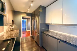 1555 N Sandburg Terrace, Chicago, IL 60610 - Photo 11