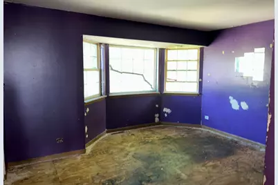 218 N Hamlin Boulevard, Chicago, IL 60624 - Photo 21