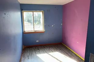 218 N Hamlin Blvd, Chicago, IL 60624 - Photo 23