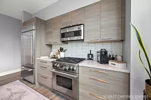 110 W Superior St, Chicago, IL 60654 - Photo 3