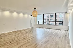 110 E Delaware Pl, Chicago, IL 60611 - Photo 11