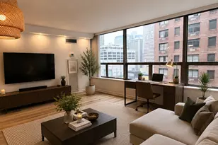 110 E Delaware Pl, Chicago, IL 60611 - Photo 5