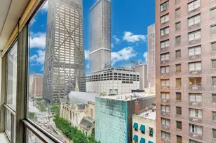 110 E Delaware Pl, Chicago, IL 60611 - Photo 21