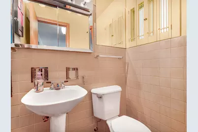 1121 S Aldine Avenue, Park Ridge, IL 60068 - Photo 19