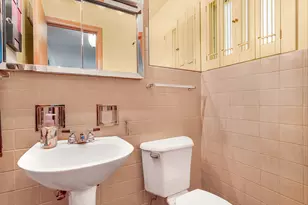 1121 S Aldine Ave, Park Ridge, IL 60068 - Photo 19