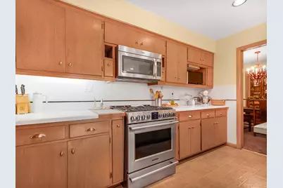 1121 S Aldine Avenue, Park Ridge, IL 60068 - Photo 13