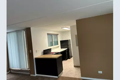 366 W Miner Street #2A, Arlington Heights, IL 60005 - Photo 3