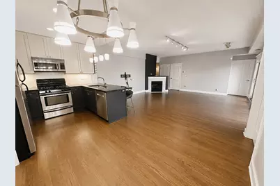 437 W North Avenue #202, Chicago, IL 60610 - Photo 7