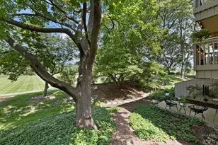 70 Cedar Ridge, Lake Barrington, IL 60010 - Photo 45