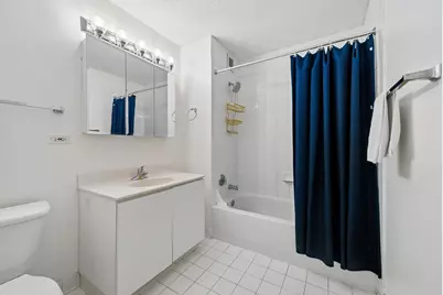 2 E Erie Street #3207, Chicago, IL 60611 - Photo 13