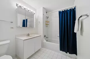 2 E Erie St, Chicago, IL 60611 - Photo 13