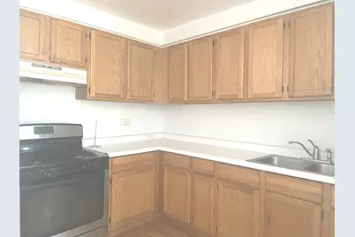238 W 31st Street #2E, Chicago, IL 60616 - Photo 3