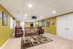 29W511 Cerny Cir, Warrenville, IL 60555 - Photo 19