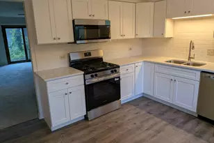 1231 Geneva Ln, Lake Zurich, IL 60047 - Photo 11