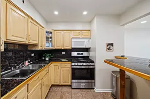 929 S Oak Park Ave, Oak Park, IL 60304 - Photo 5