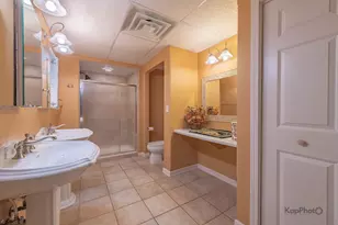 15120 Alpine Dr, Orland Park, IL 60467 - Photo 43
