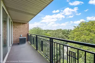 5950 Oakwood Dr, Lisle, IL 60532 - Photo 15