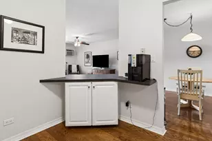 6670 S Brainard Ave, Countryside, IL 60525 - Photo 9