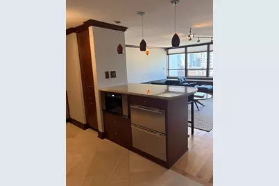 201 E Chestnut Street #22C, Chicago, IL 60611 - Photo 5