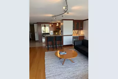 201 E Chestnut Street #22C, Chicago, IL 60611 - Photo 9