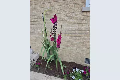 570 W Crockett Avenue, Elmhurst, IL 60126 - Photo 25