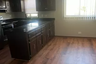 6826 W Lode Dr, Worth, IL 60482 - Photo 5
