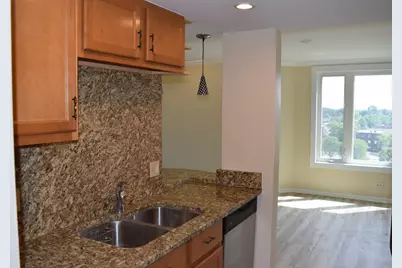 1 Renaissance Place #801, Palatine, IL 60067 - Photo 13