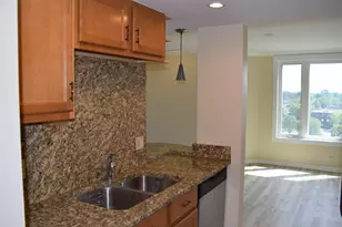 1 Renaissance Pl, Palatine, IL 60067 - Photo 13