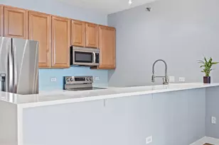 1322 S Prairie Ave, Chicago, IL 60605 - Photo 17