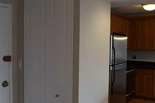 1360 N Sandburg Terrace, Chicago, IL 60610 - Photo 13