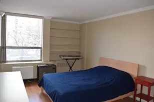 1360 N Sandburg Terrace, Chicago, IL 60610 - Photo 17