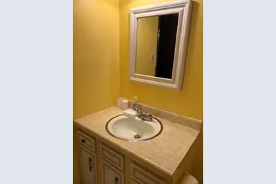 22520 Pleasant Drive, Richton Park, IL 60471 - Photo 11