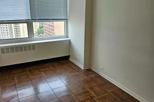4800 S Chicago Beach Dr, Chicago, IL 60615 - Photo 3
