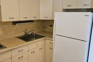4800 S Chicago Beach Dr, Chicago, IL 60615 - Photo 7