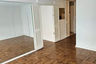 4800 S Chicago Beach Dr, Chicago, IL 60615 - Photo 15