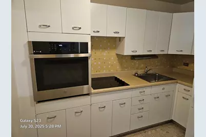 4800 S Chicago Beach Drive #1509, Chicago, IL 60615 - Photo 29