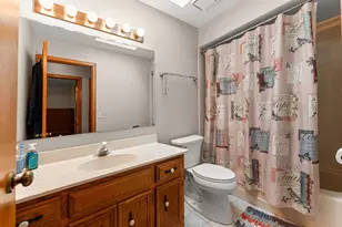 10241 Royal Ct, Mokena, IL 60448 - Photo 17
