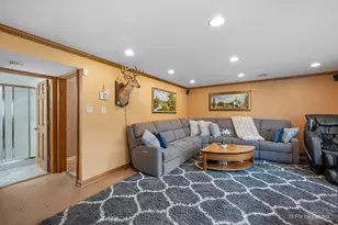 1241 Fargo Ave, Des Plaines, IL 60018 - Photo 29