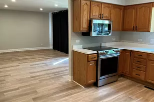21331 Illinois St, Matteson, IL 60443 - Photo 13