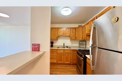 3001 S Michigan Avenue #1303, Chicago, IL 60616 - Photo 11