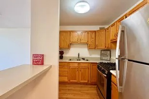 3001 S Michigan Ave, Chicago, IL 60616 - Photo 11