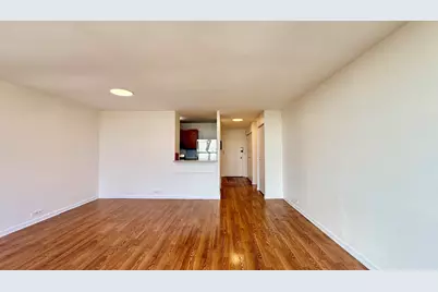 3001 S Michigan Avenue #1303, Chicago, IL 60616 - Photo 9